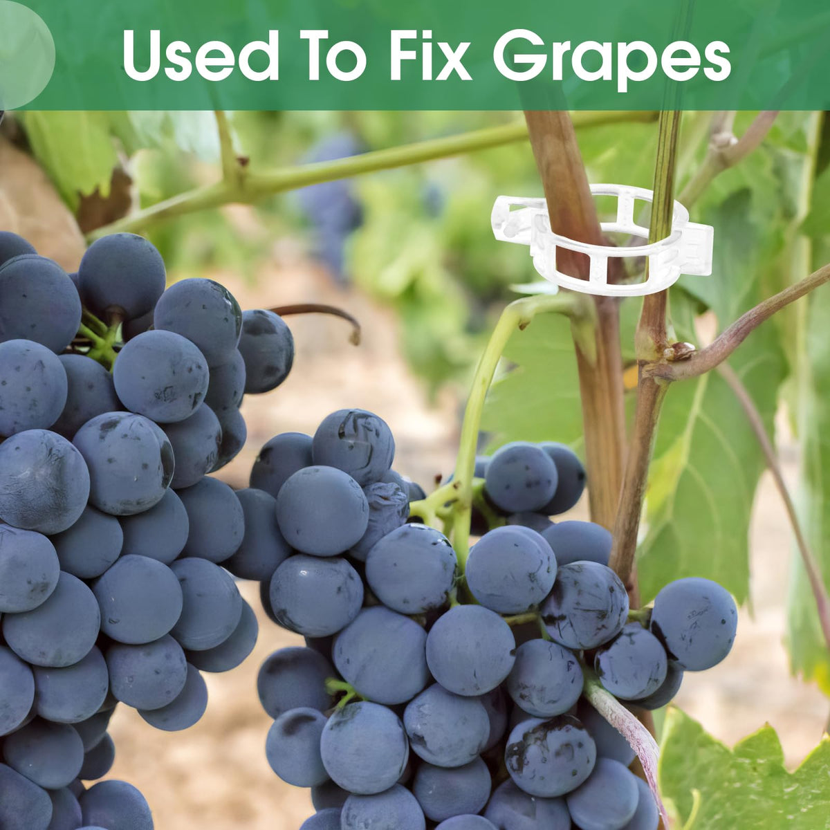 VineHold – Plant Support Clips – image 3