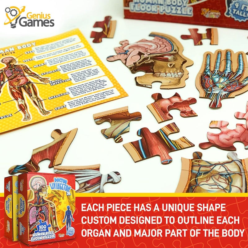 Organix – Interactive Anatomy Learning Puzzle – image 2
