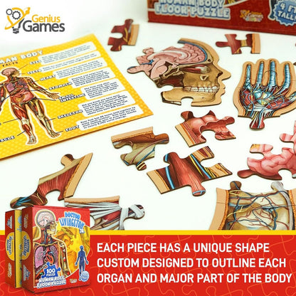 Organix – Interactive Anatomy Learning Puzzle – image 2