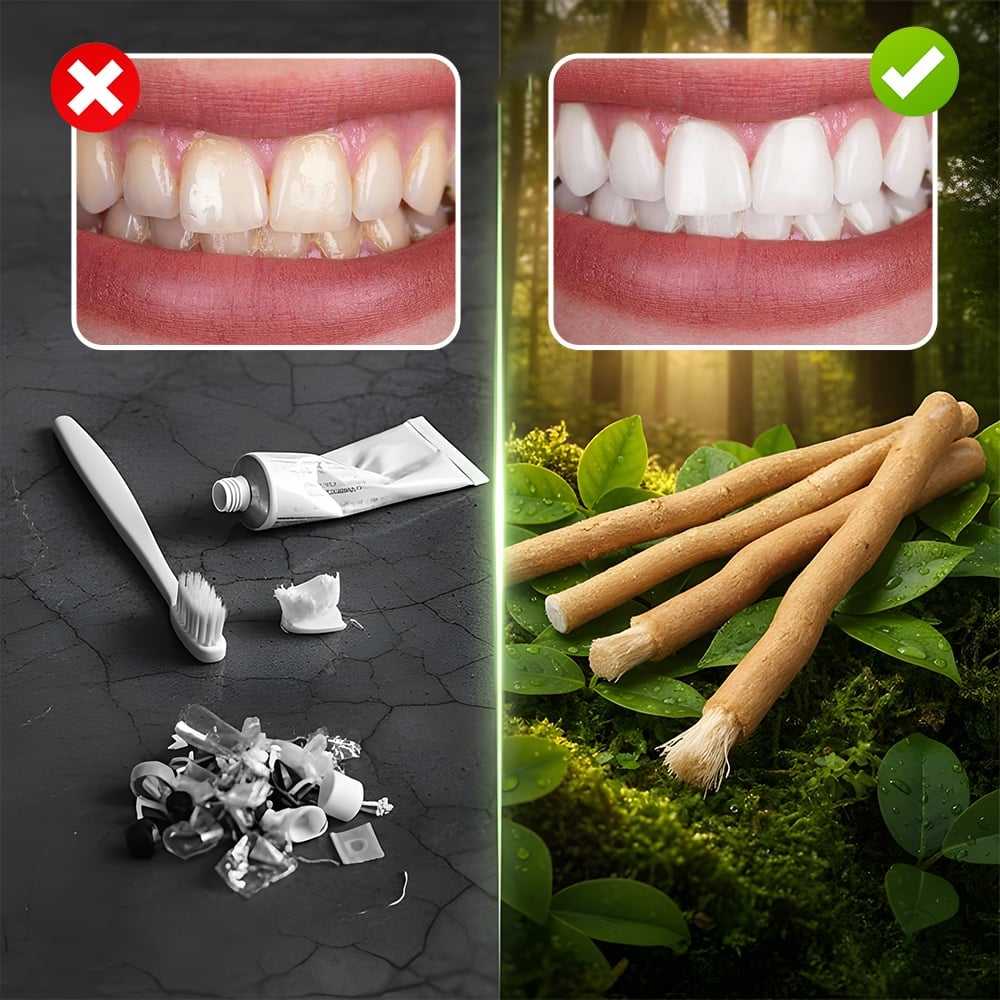 PureMiswak – Natural Toothbrush Sticks – image 4