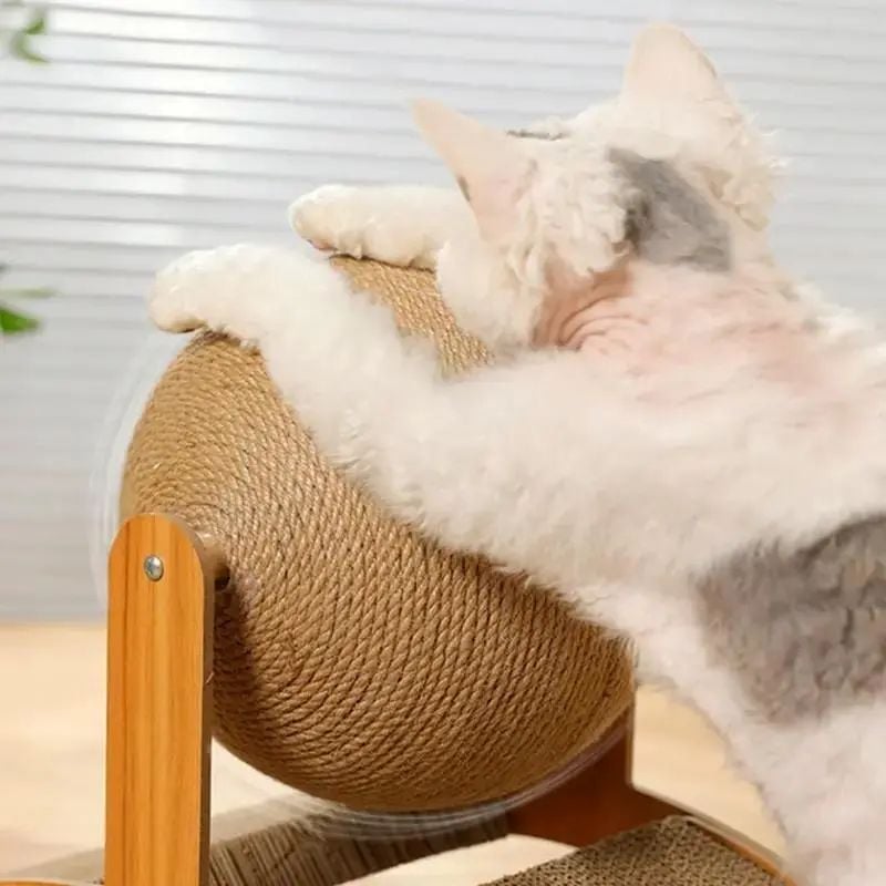 ClawSphere – Cat Scratching Ball Stand Toy – image 2