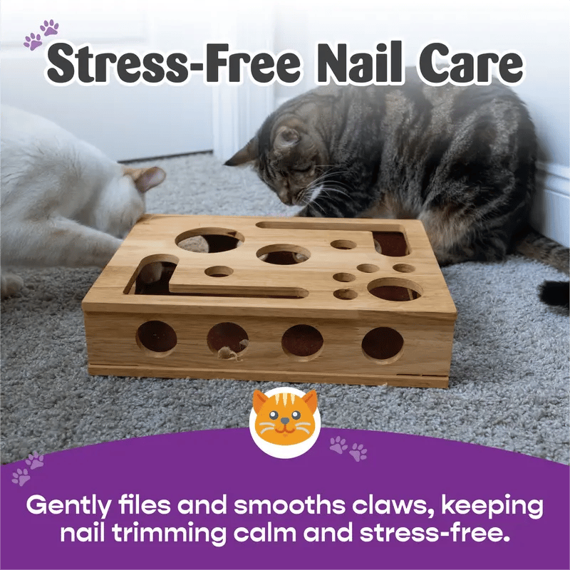 PawPuzzle – Cat Enrichment Scratch & Play Box – image 3