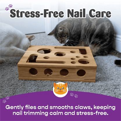 PawPuzzle – Cat Enrichment Scratch & Play Box – image 3
