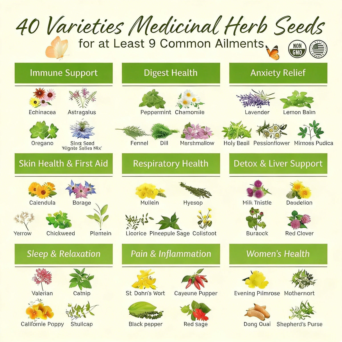 The Ancestral Apothecary Seed Chest: 40 Varieties of Medicinal Herb Seeds – image 9