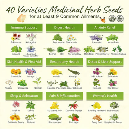 The Ancestral Apothecary Seed Chest: 40 Varieties of Medicinal Herb Seeds – image 9
