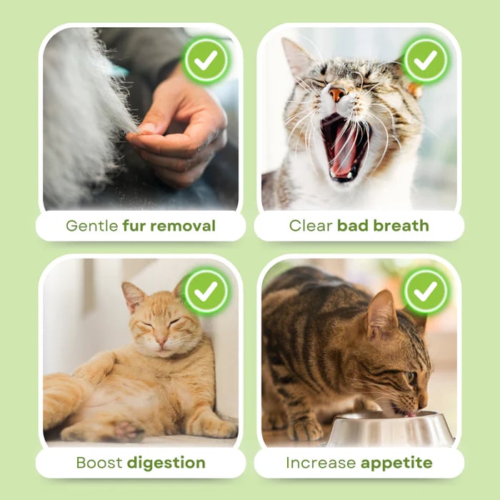 PurrChew – Natural Cat Grass Chew Sticks – image 6