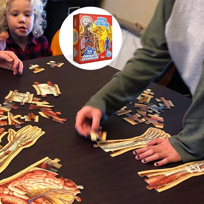 Organix – Interactive Anatomy Learning Puzzle – image 10