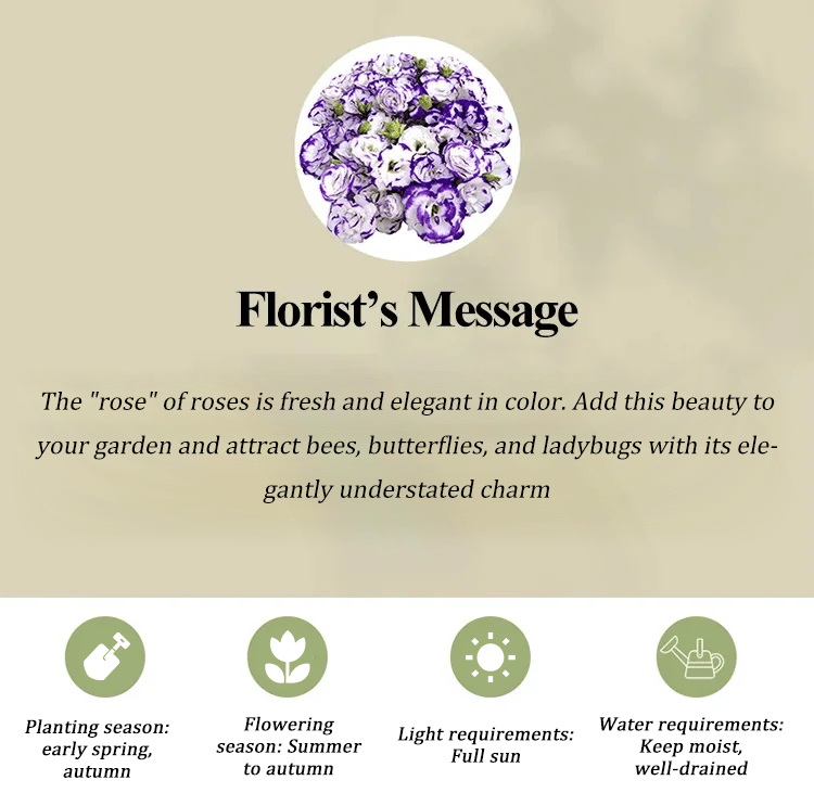 BloomRidge – Hardy Perennial Lisianthus Seeds – image 39