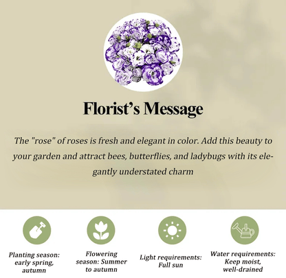 BloomRidge – Hardy Perennial Lisianthus Seeds – image 39