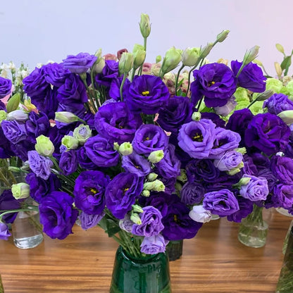 BloomRidge – Hardy Perennial Lisianthus Seeds – image 40
