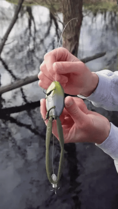 Predator Frog - Topwater Lure Designed for Bass, Pike & Snakehead – image 8