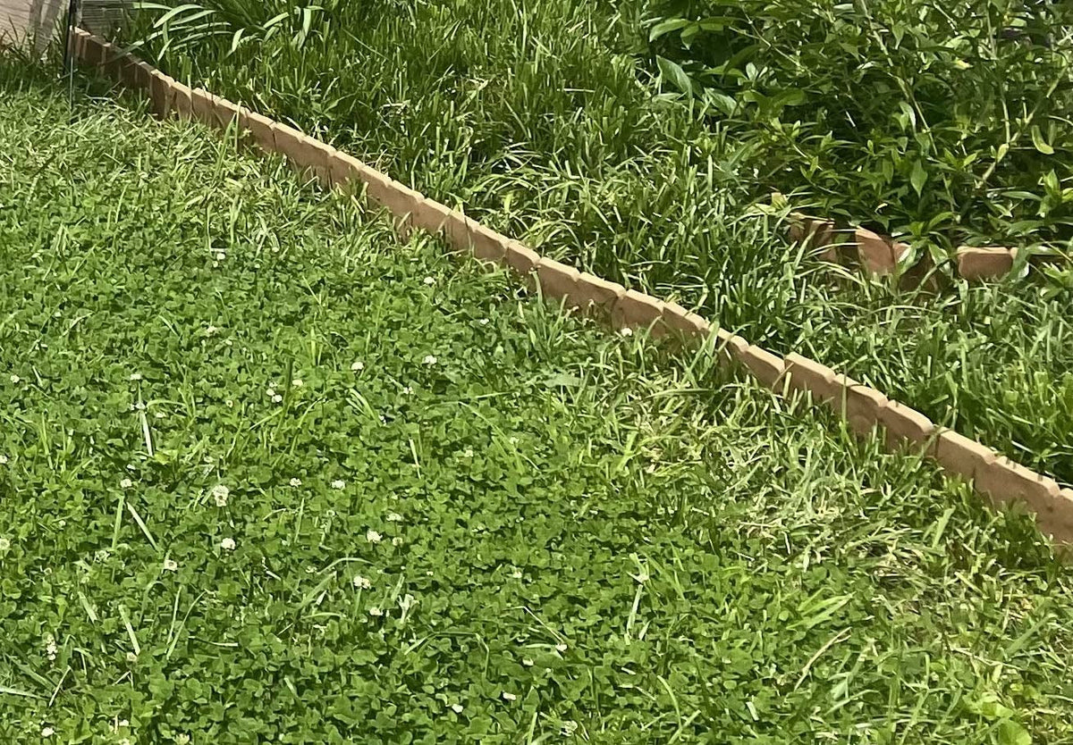 BloomBorder – Stone Style Edging System – image 16