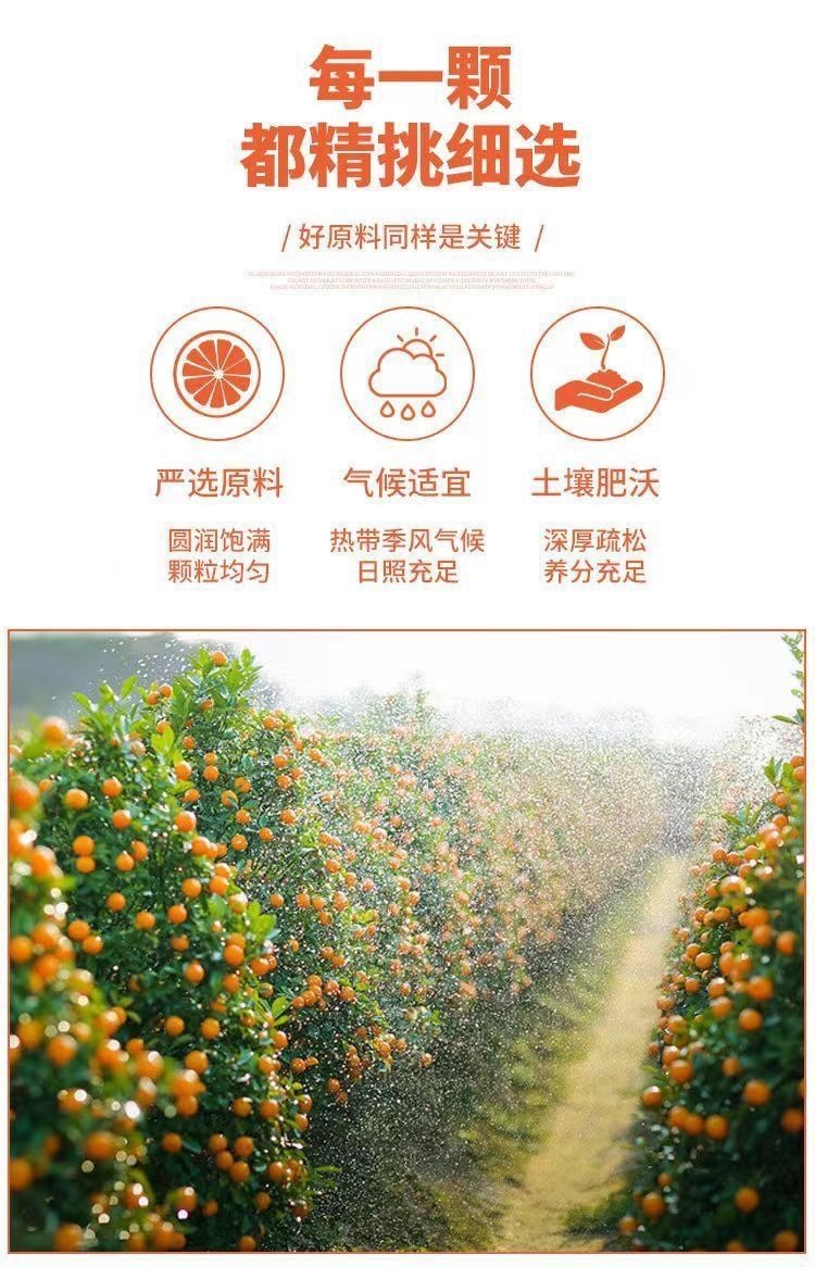 GoldenCitrus – Traditional Kumquat Licorice Jam – image 12
