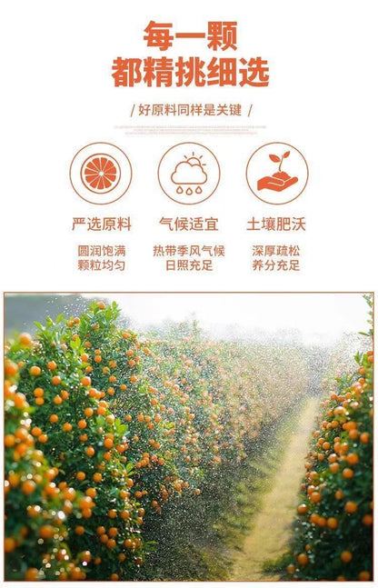 GoldenCitrus – Traditional Kumquat Licorice Jam – image 12