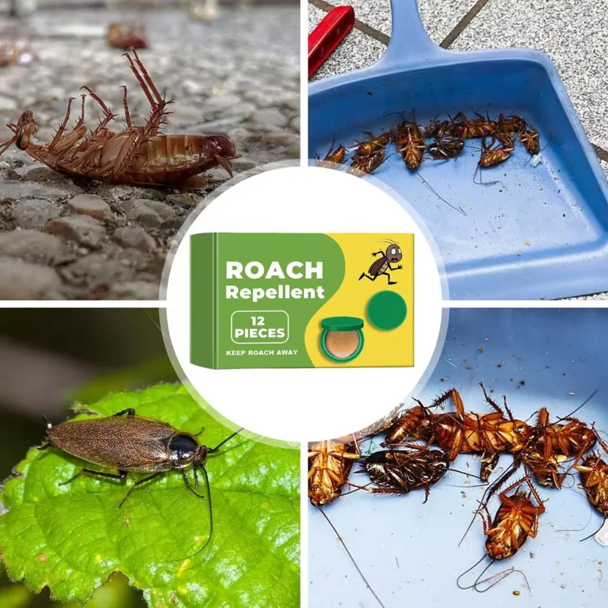 InsectBarrier – Roach Control Solution – image 2