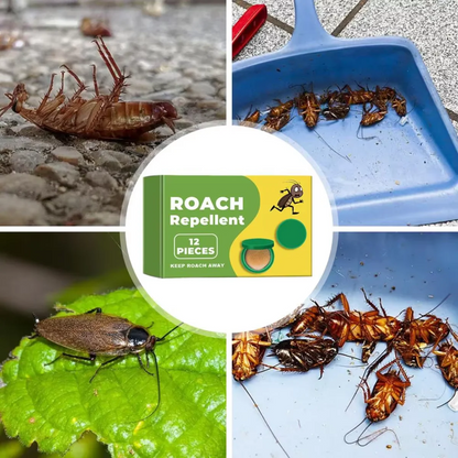 InsectBarrier – Roach Control Solution – image 2