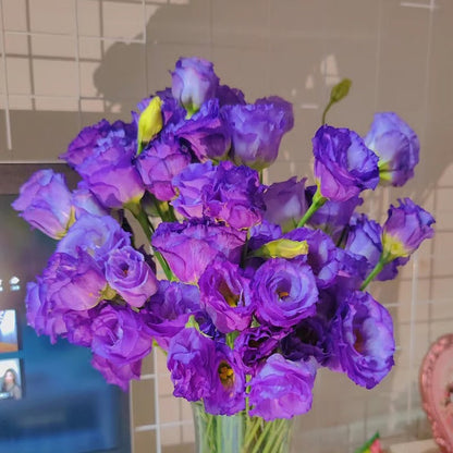 GardenMuse – Elegant Multi-Color Flower Seeds – image 20