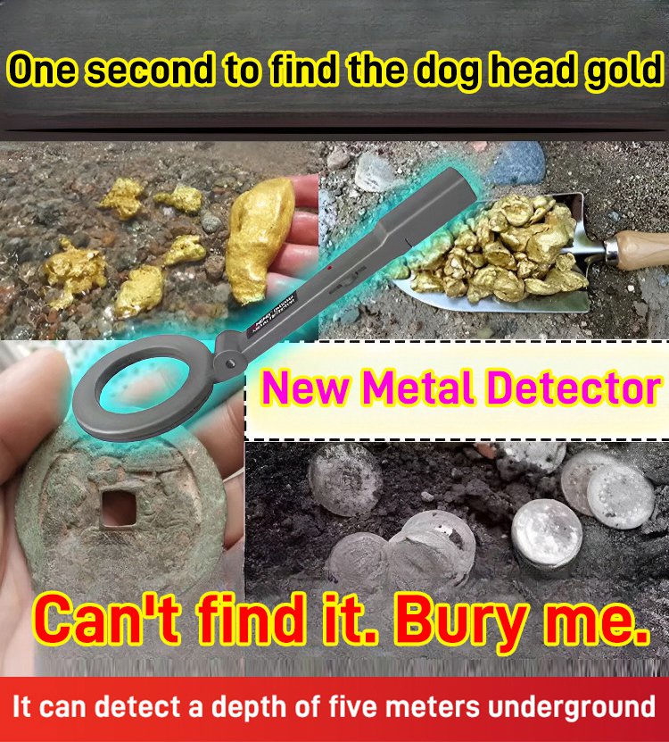 MetalSense – Handheld Sensitive Detector – image 2