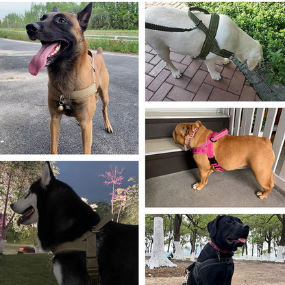 ForceGrip - Tactical Dog Harness with Control Handle – image 13