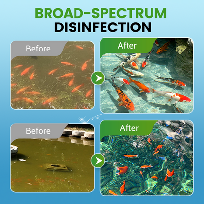 CrystalAqua – Premium Fish Tank Purification Tablets – image 12