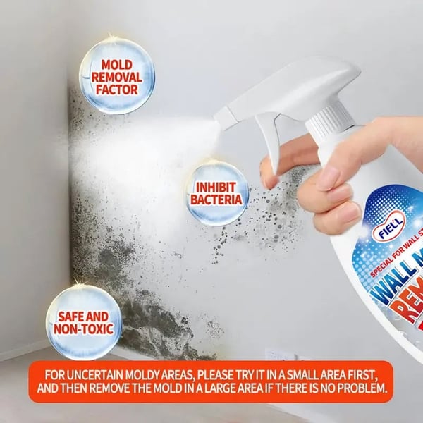 MoldXpert – Instant Deodorizing Wall Spray – image 8