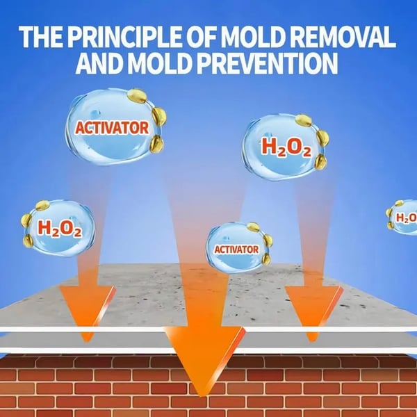 MoldXpert – Instant Deodorizing Wall Spray – image 6