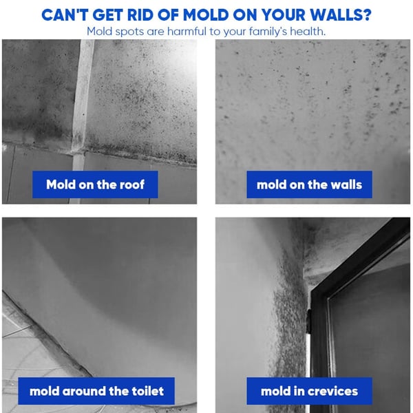 MoldXpert – Instant Deodorizing Wall Spray – image 9