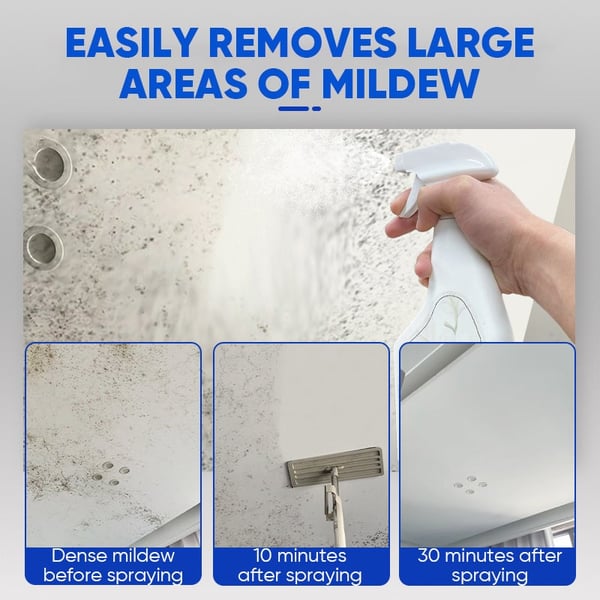 MoldXpert – Instant Deodorizing Wall Spray – image 3
