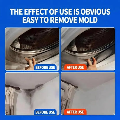 MoldXpert – Instant Deodorizing Wall Spray – image 7