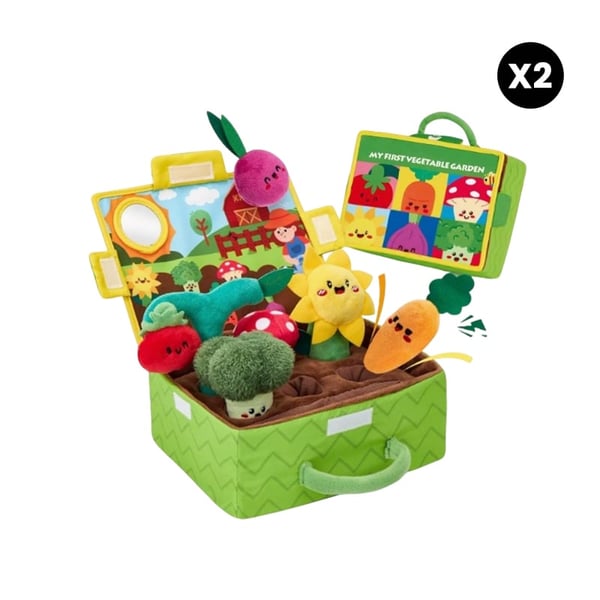 LumeGarden – Early Learning Color Match Play Food – Vegetable and Fruit Garden Toys 2 Sets
