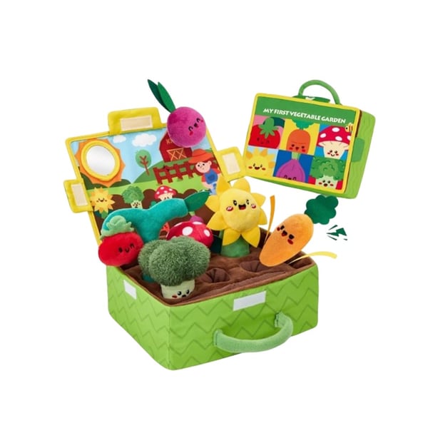 LumeGarden – Early Learning Color Match Play Food – Vegetable and Fruit Garden Toys 1 Set